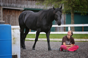 Tino and Donna - Liberty Horse Training